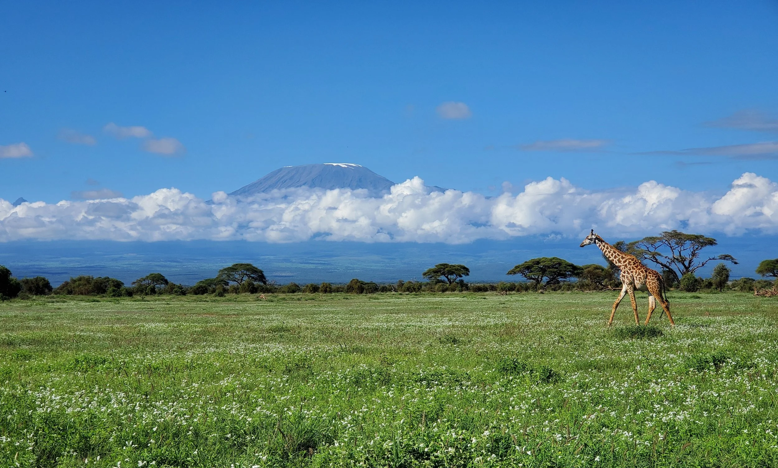 landscape amboseli 2023.jpg