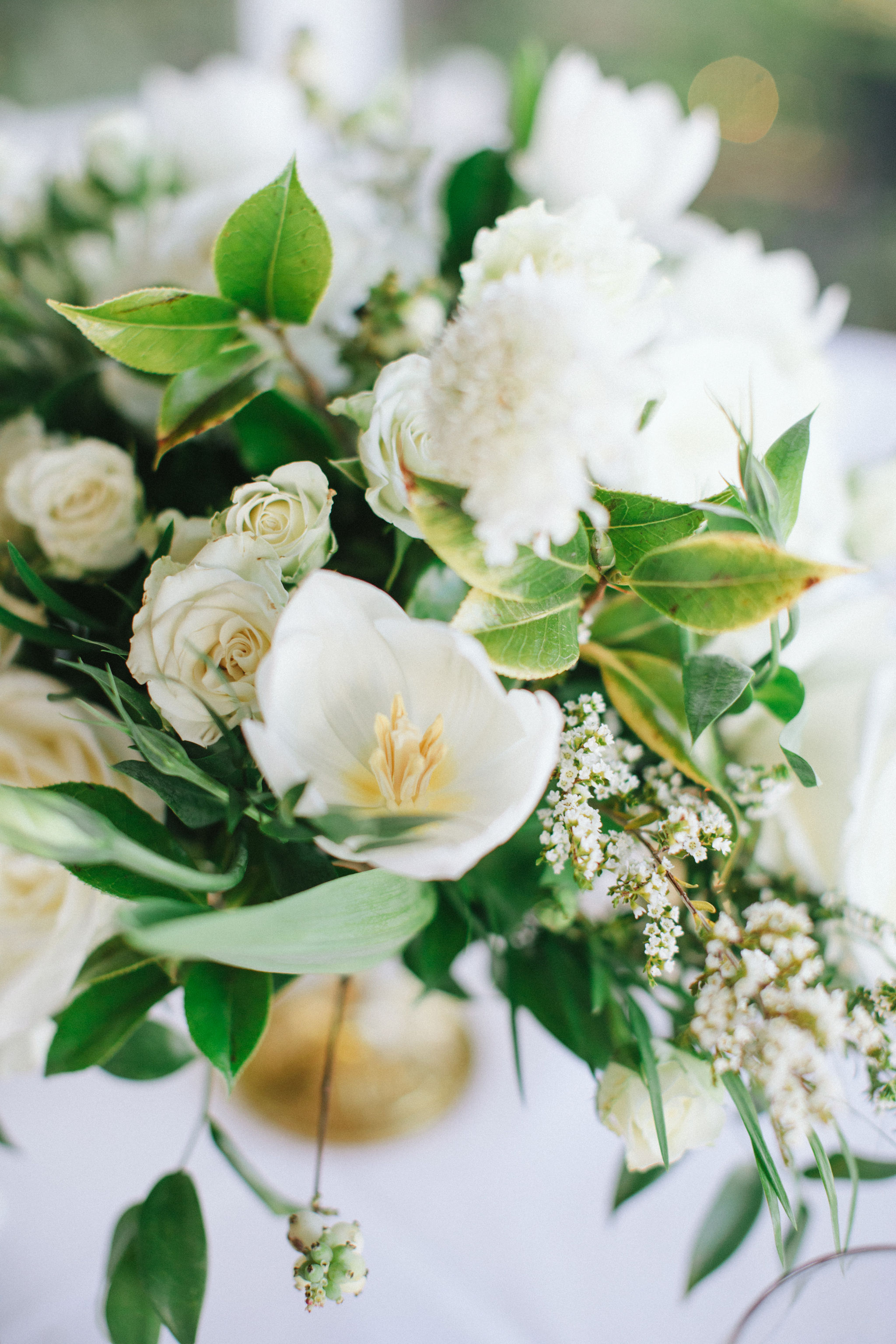 Sarah Montgomwey Eventsw2.jpg