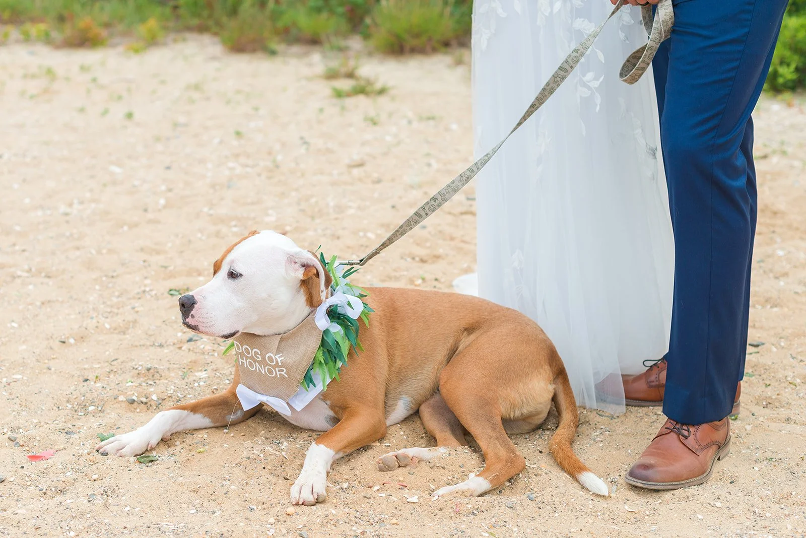 Savannah and DJ-764.jpg