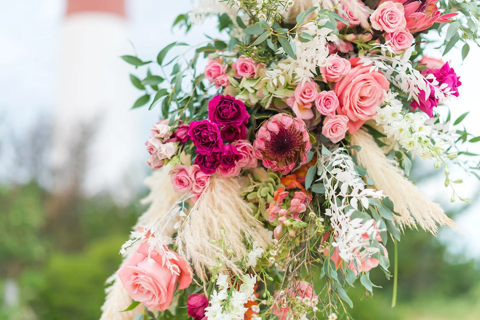 Savannah and DJ-553.jpg