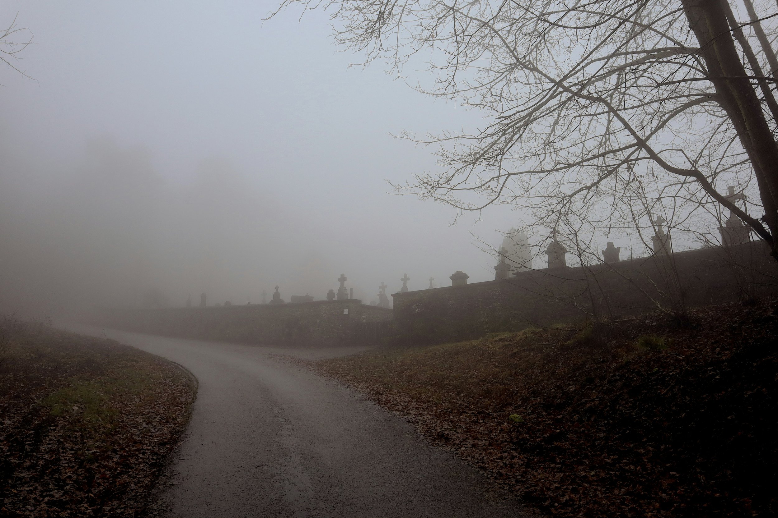 'Salem's Lot