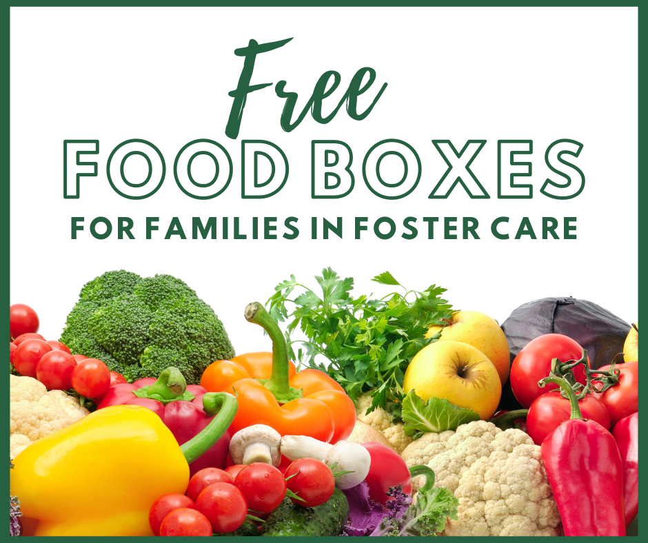 Free Food For Families in Foster Care