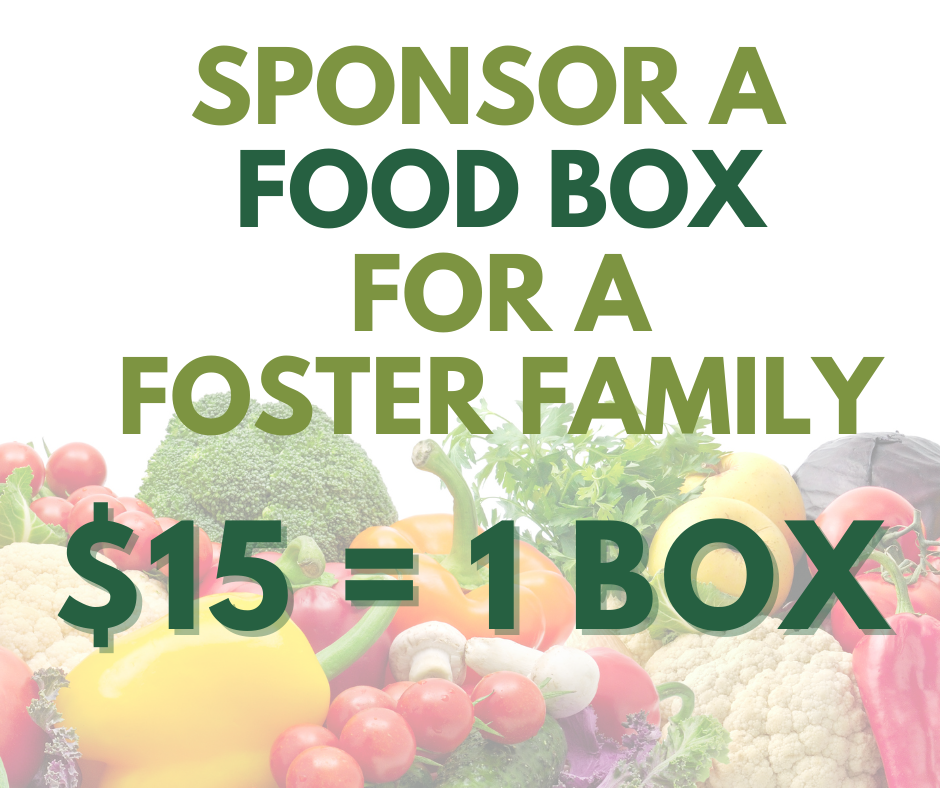 Sponsor a Food Box this Holiday Season!