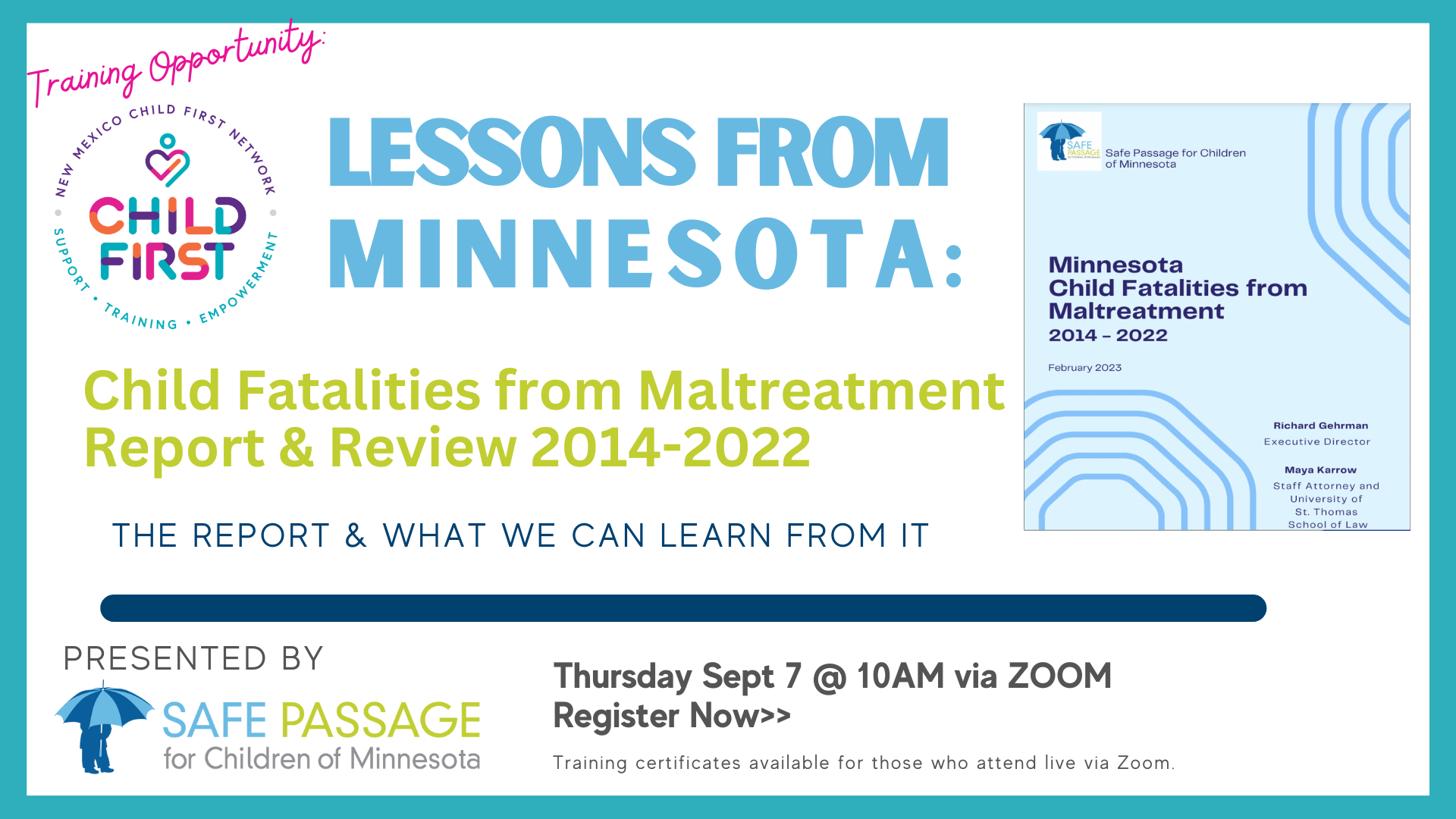 TRAINING: Topic Lessons From Minnesota: Report Overview of "Minnesota Child Fatalities from Malt