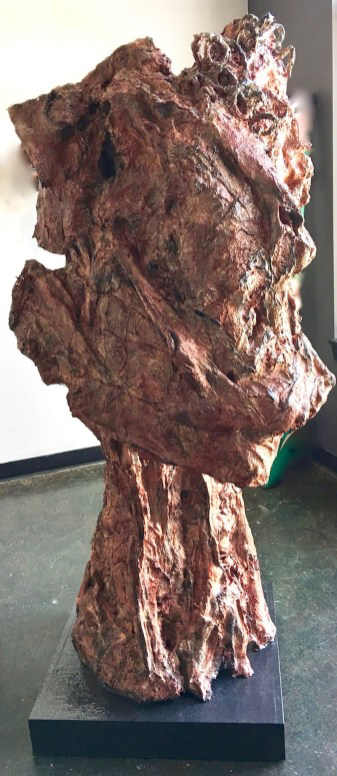 Rotted And Rooted