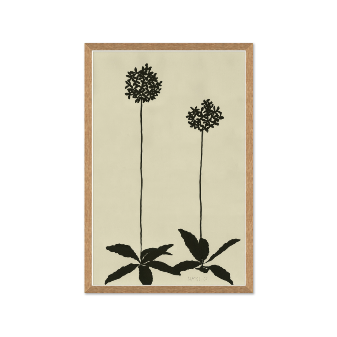Website Images-1 (6).png