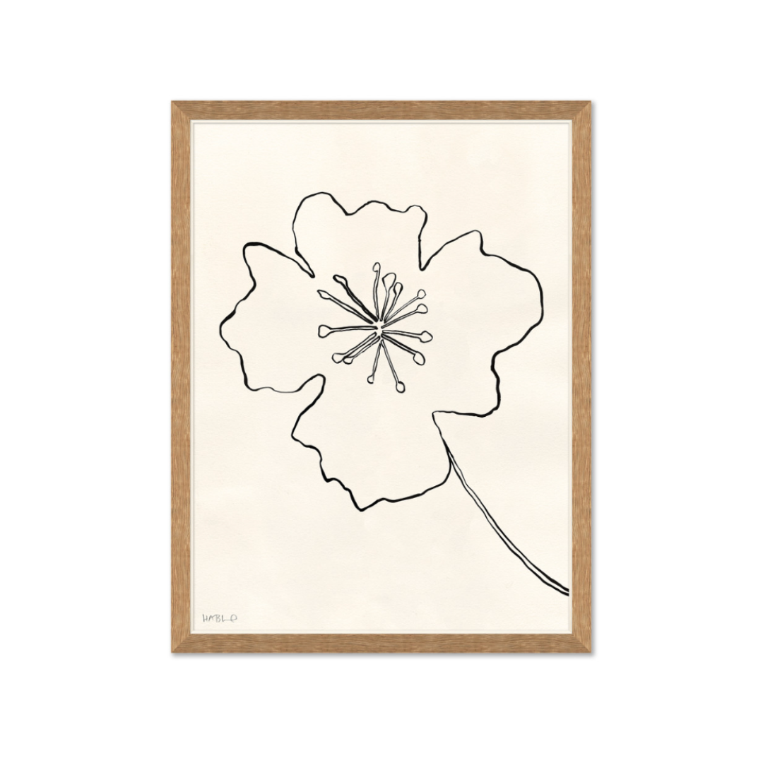 Website Images-1 (4).png