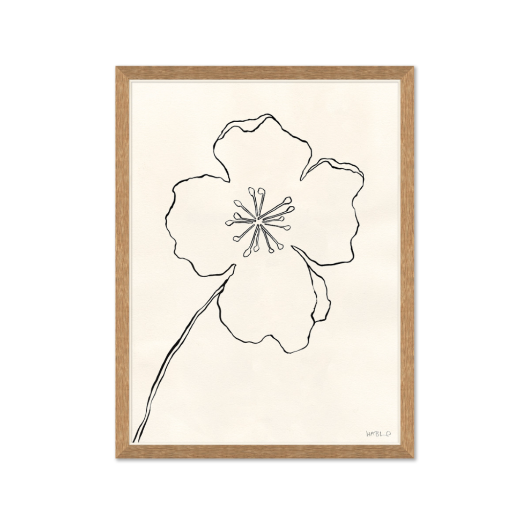 Website Images-1 (5).png