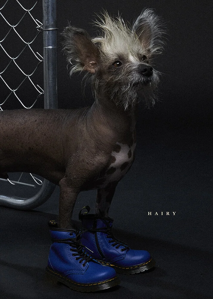 14_©scottie_cameron_DOGS_0325.jpg
