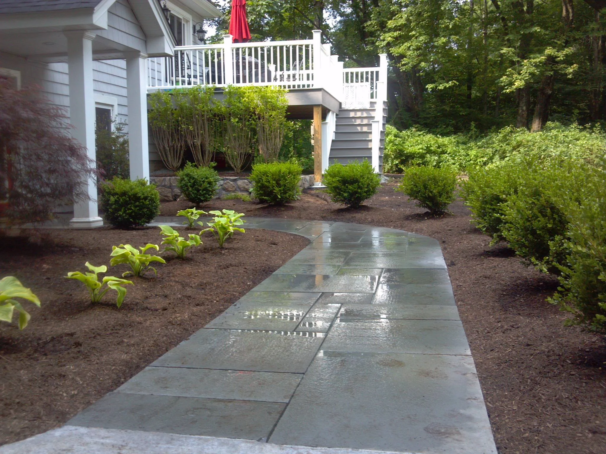 Shady-Tree-Walkway.jpg