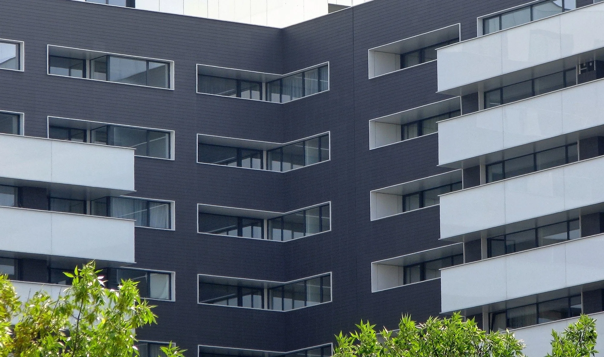 shady-tree-condo-multifamily-residential.jpg