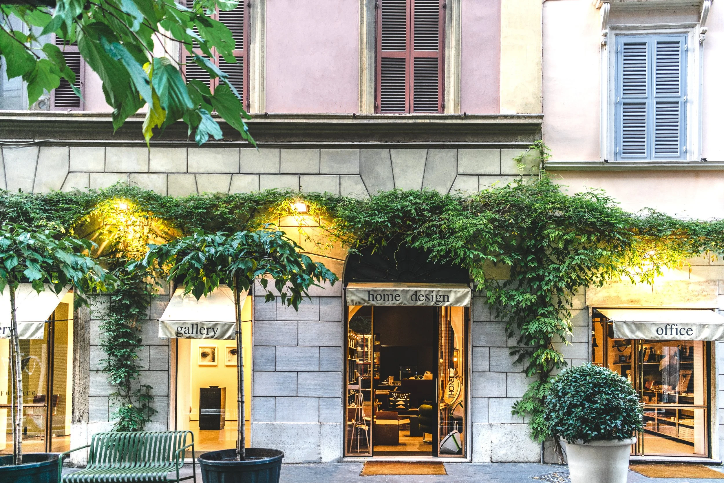 shady-tree-retail-space.jpg
