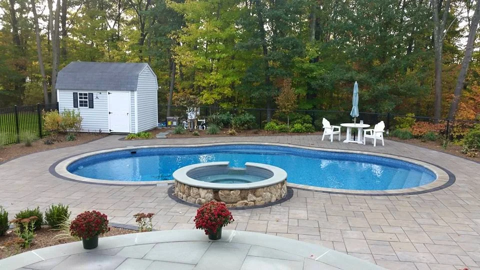 shady-tree-pool.jpg