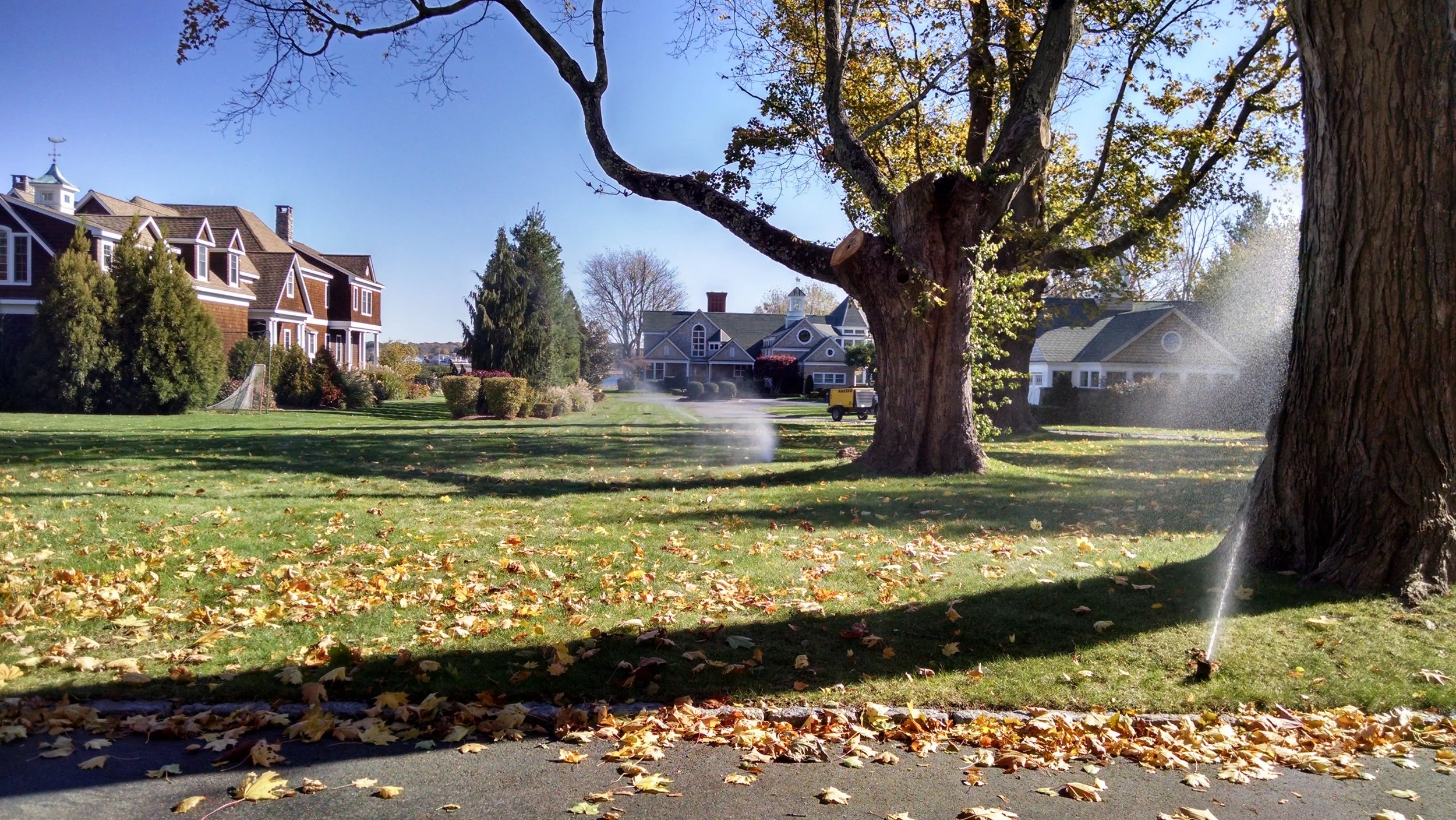 IMG_20141103_110208534_HDR.jpg