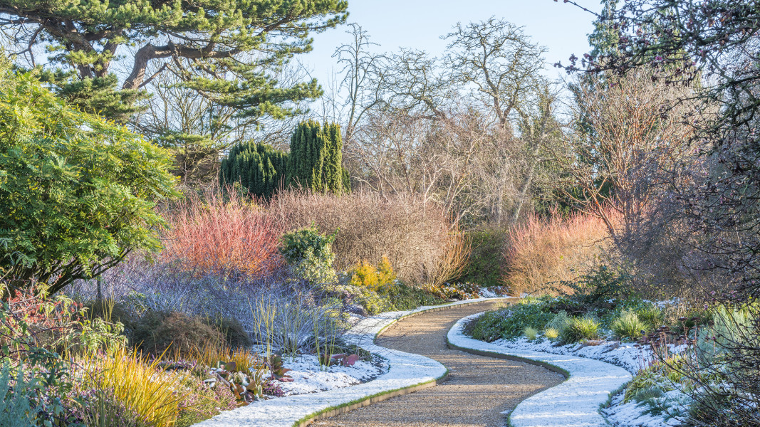 10 ways to get your landscape winter-ready