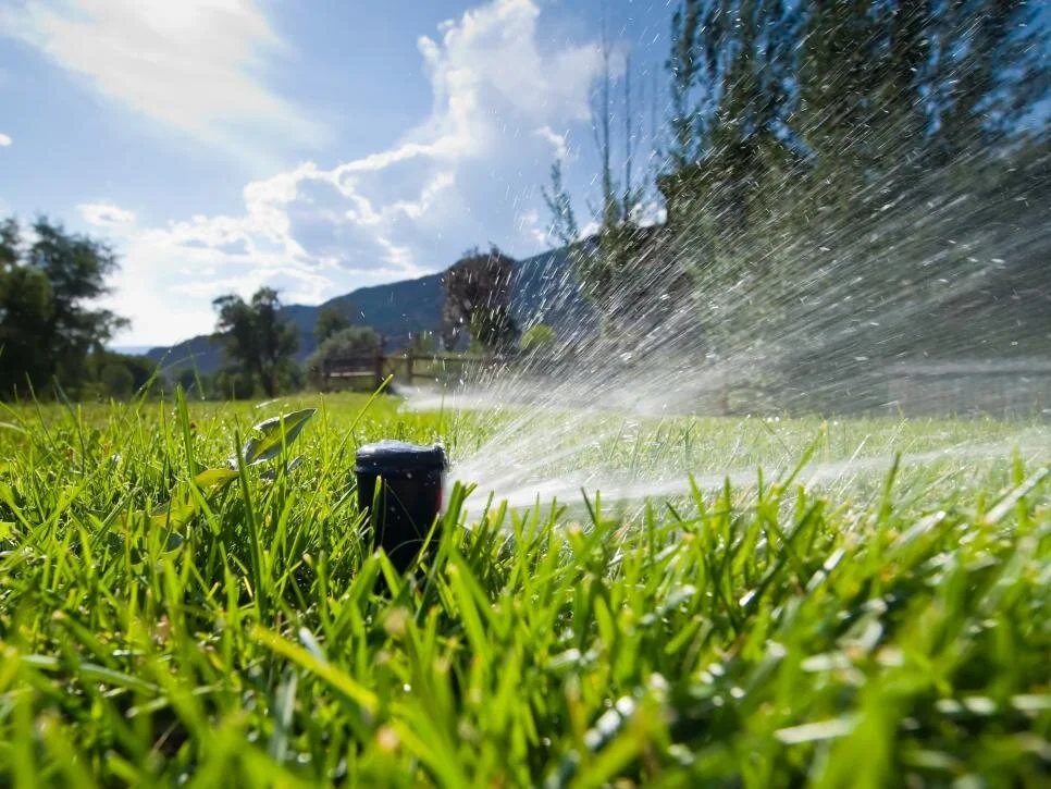 How Much Water Does Your Lawn Really Need?