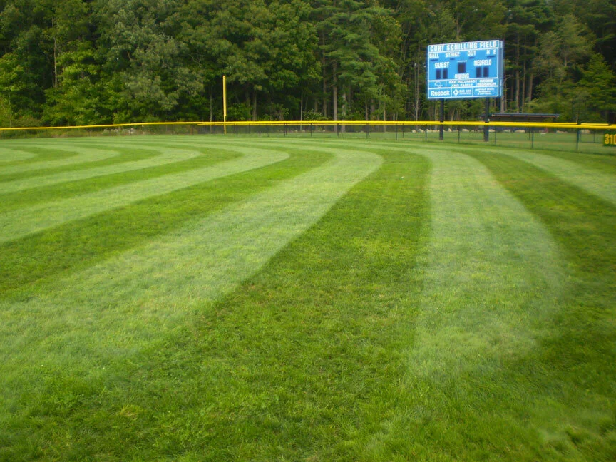 5 Tips to Keep Your Lawn Healthy This Summer