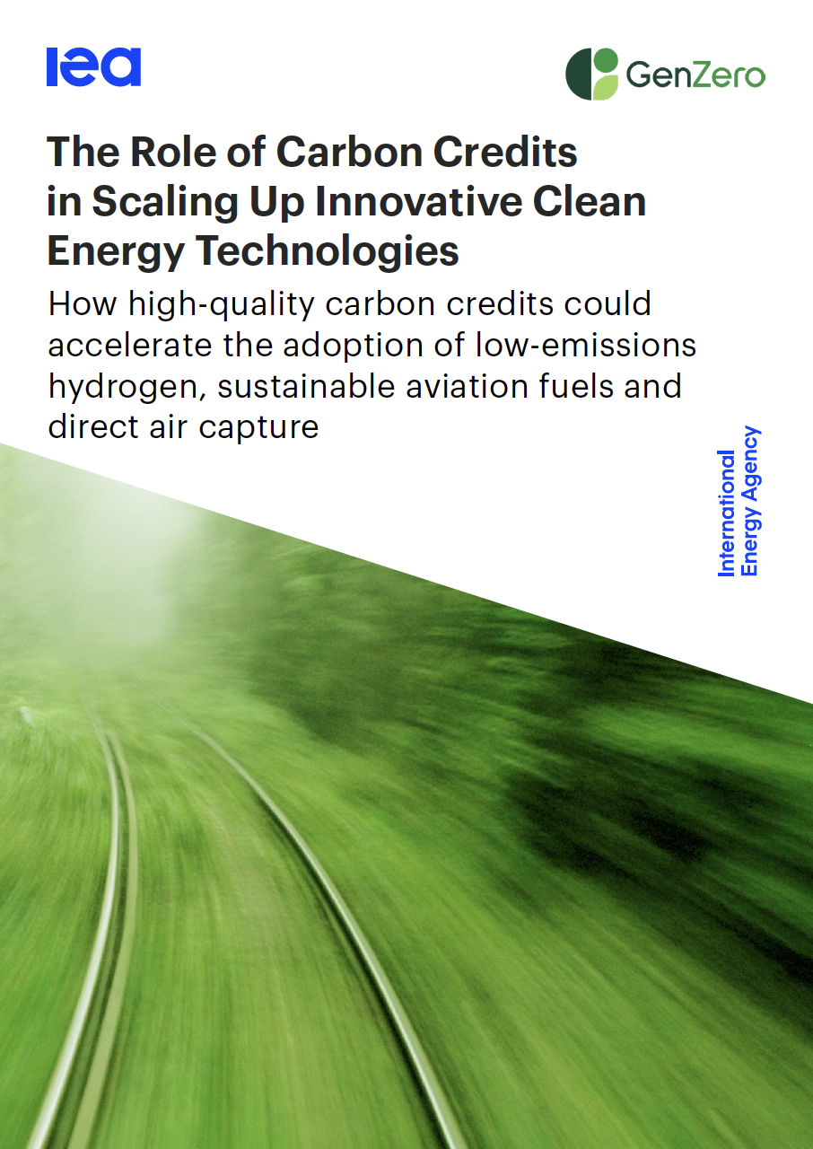 The Role of Carbon Credits in Scaling Up Innovative Clean Energy Technologies