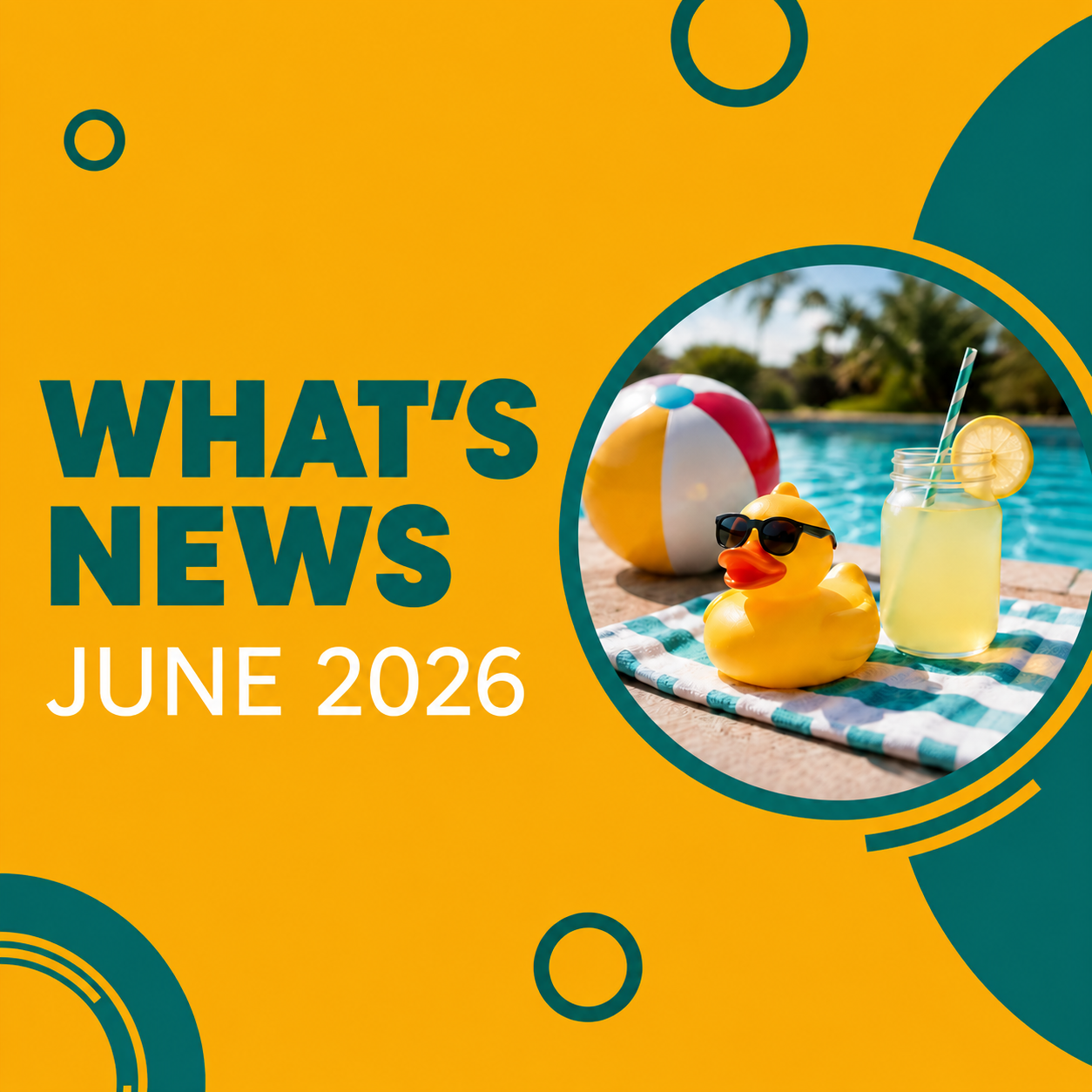 Check out our June Newsletter!