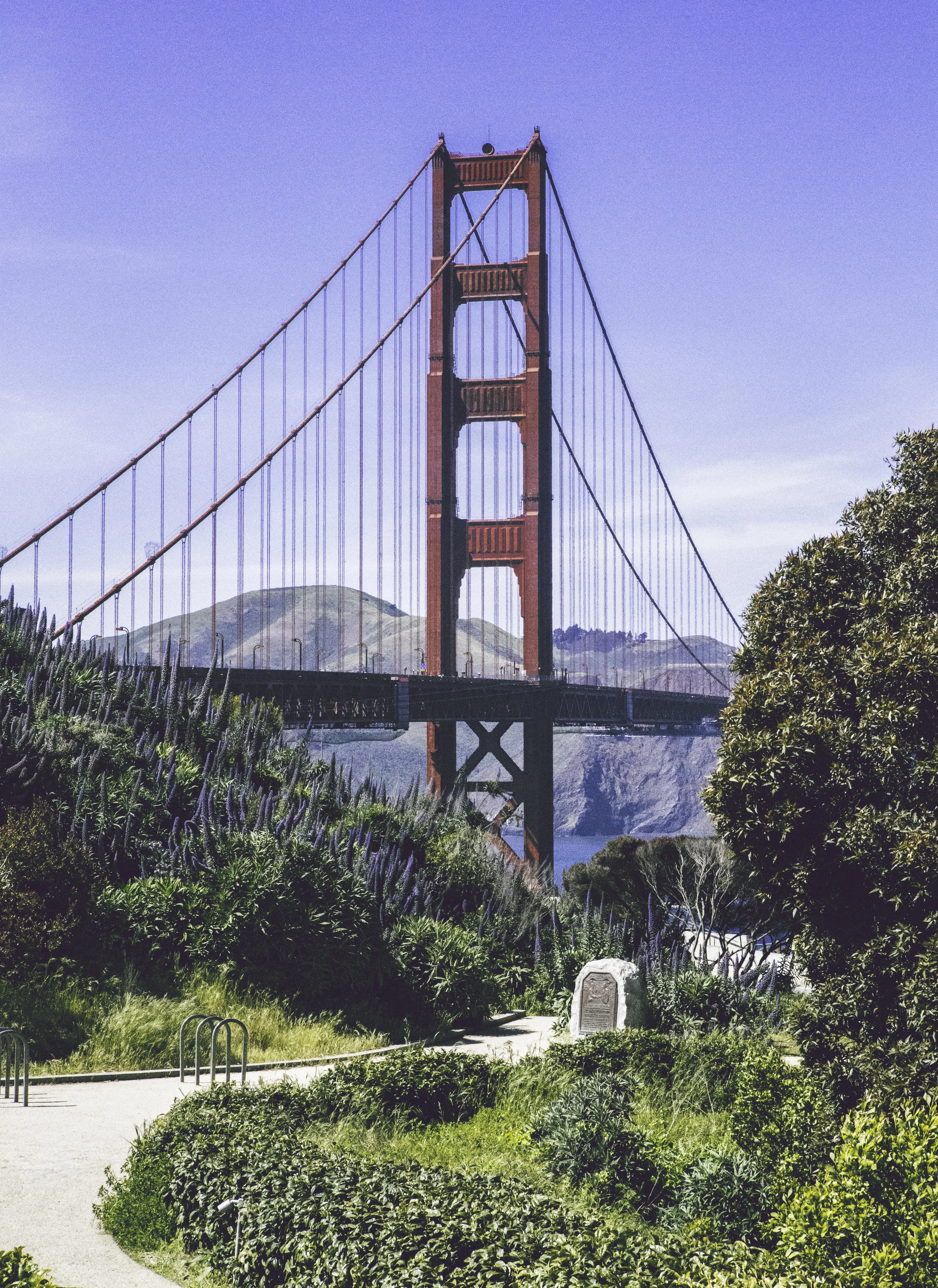 D40A4434-Edit.jpg
