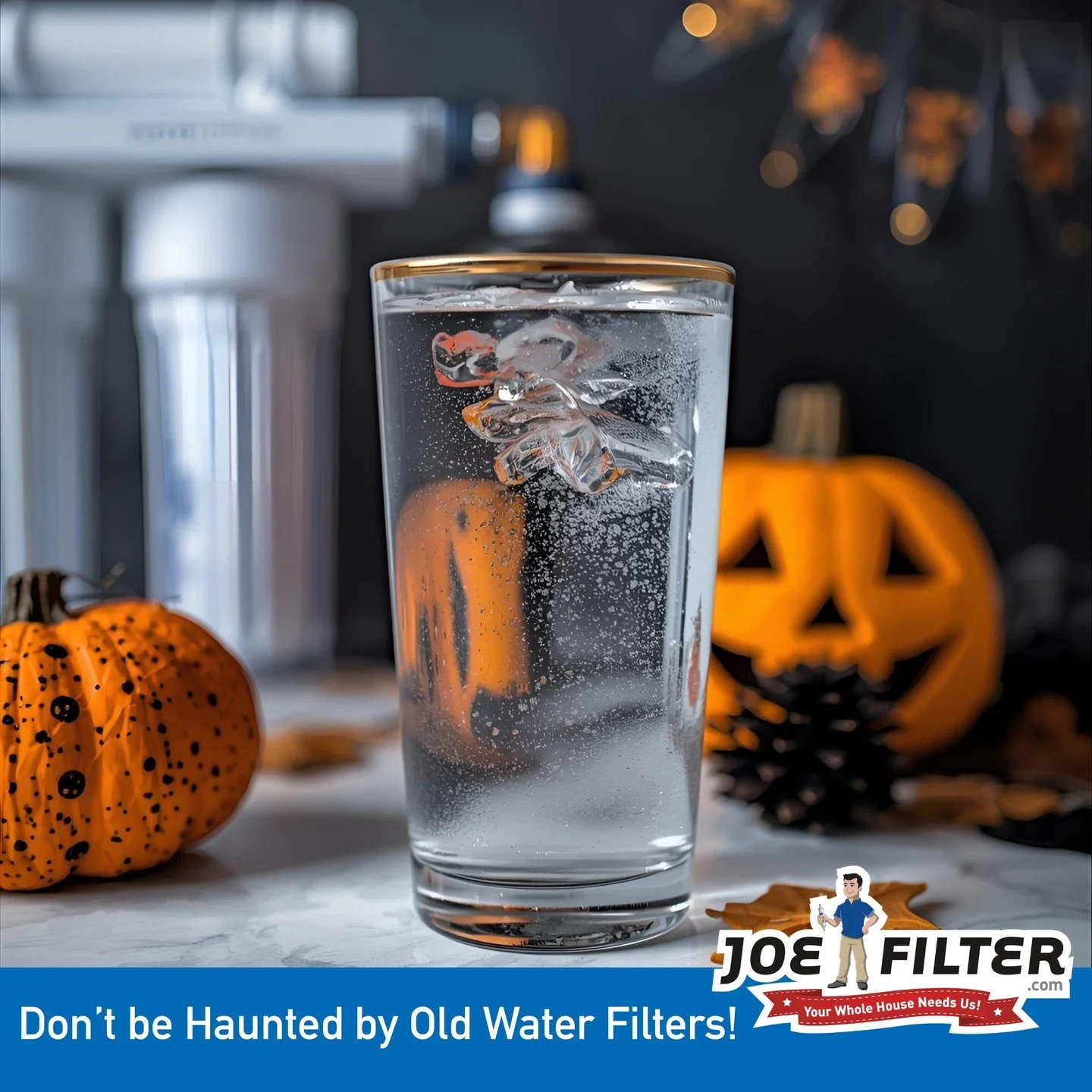 Don't be haunted by your dead water filters this #Halloween! Get them replaced and bring your RO system back to life!
Visit us at ro.joefilter.com 
#drinkingwater #trickortreat #cleanwater #pumpkincarving #RO #waterfilters #healthyliving #water