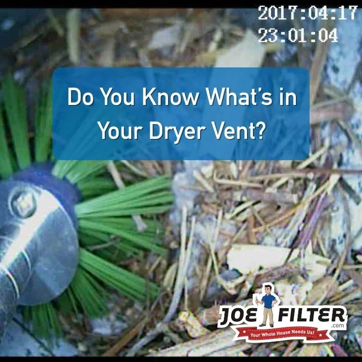 Birds and rodents love to make nests in your homes warm and safe dryer vent! 

Have your dryer vent professionally inspected annually to confirm it is clear of build up and/or nests. 

Visit  dryer.joefilter.com to learn more.

#firesafety #energysav