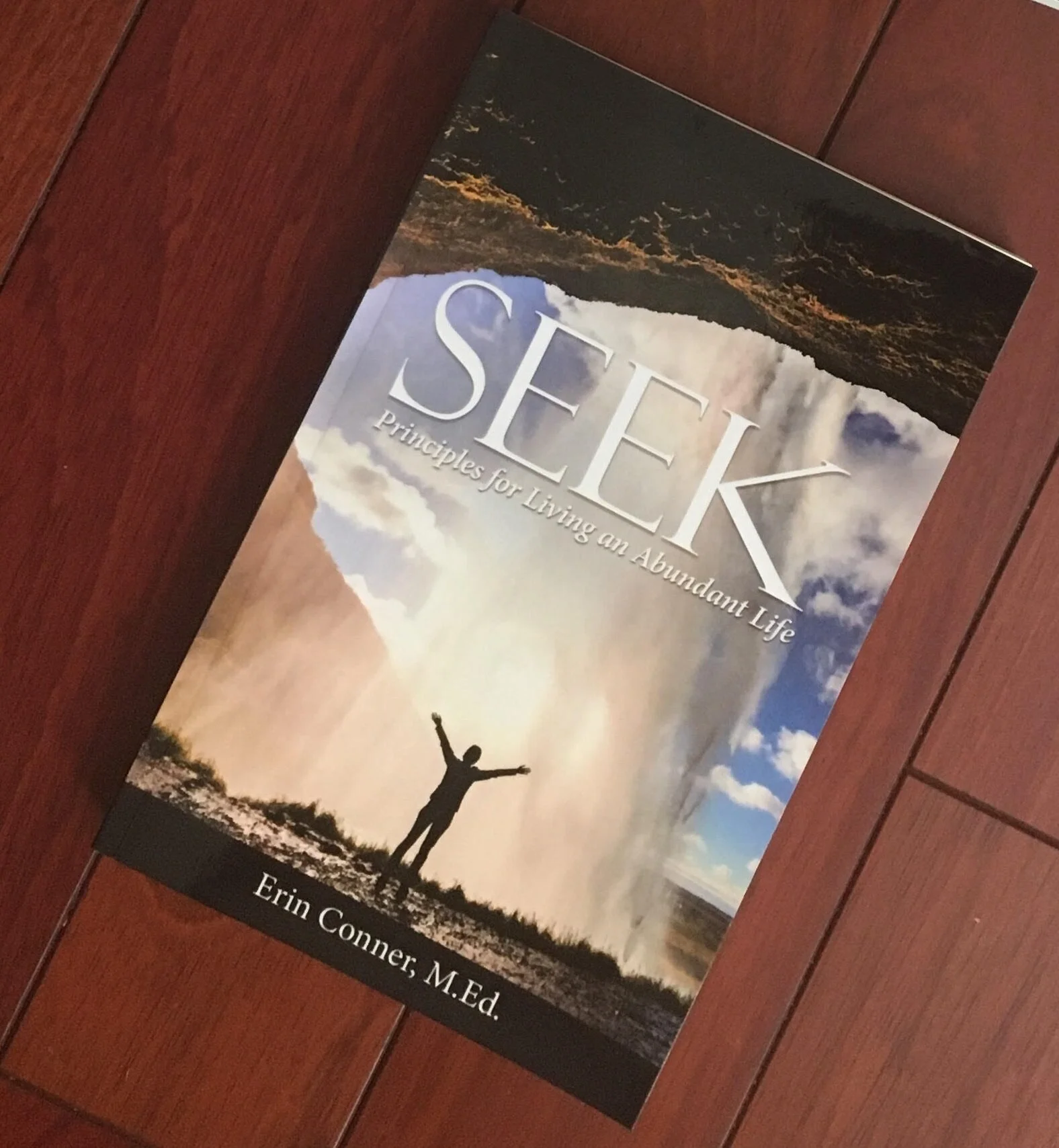 book cover.jpg