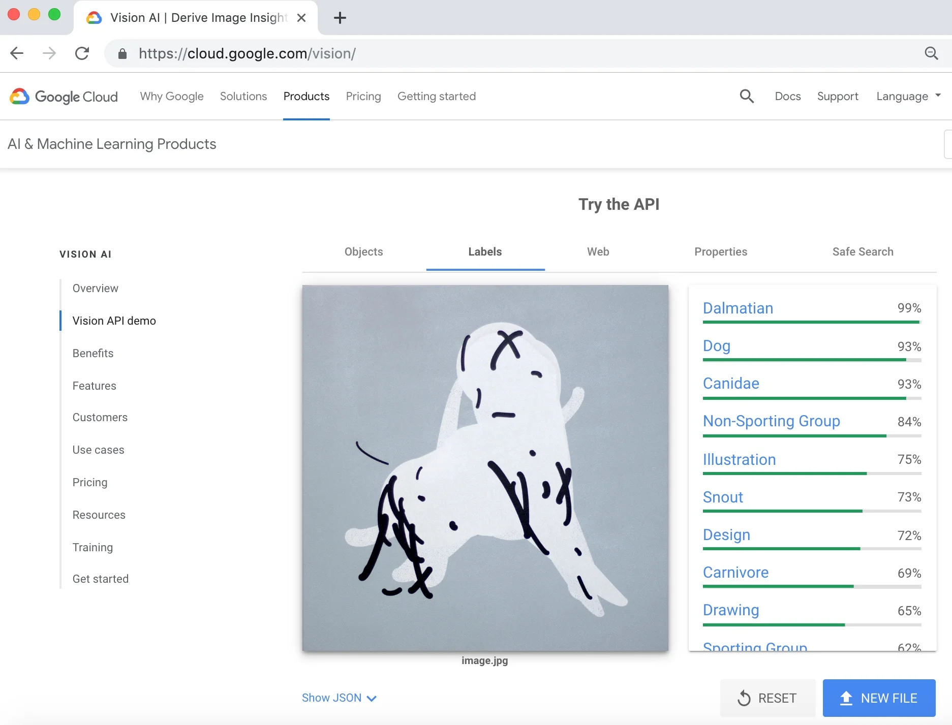 dalmatian_googAPI.jpg