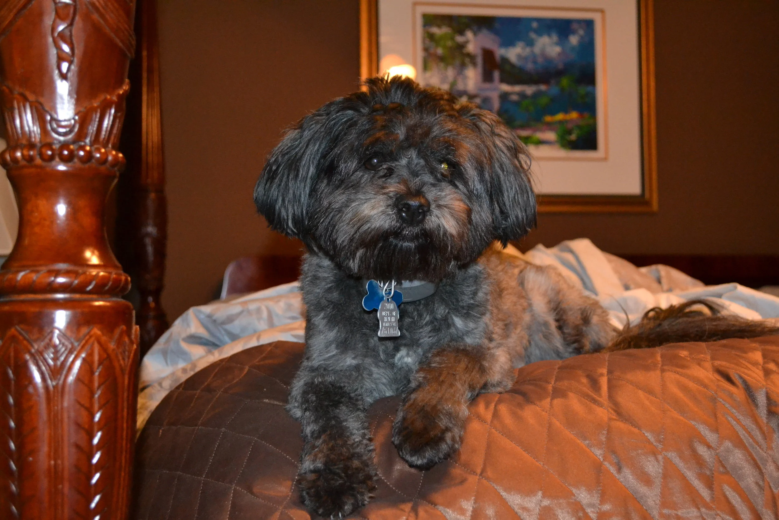 Photo_Lynn Driver - 1 of 1.JPG