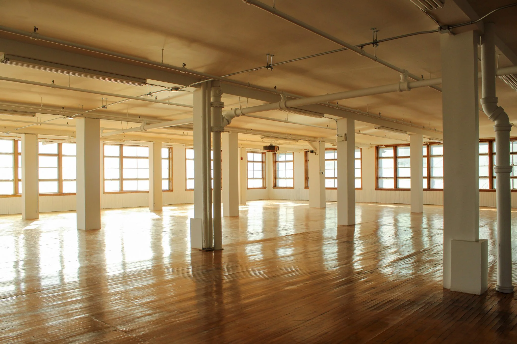 Copy of IMG_9442.jpg