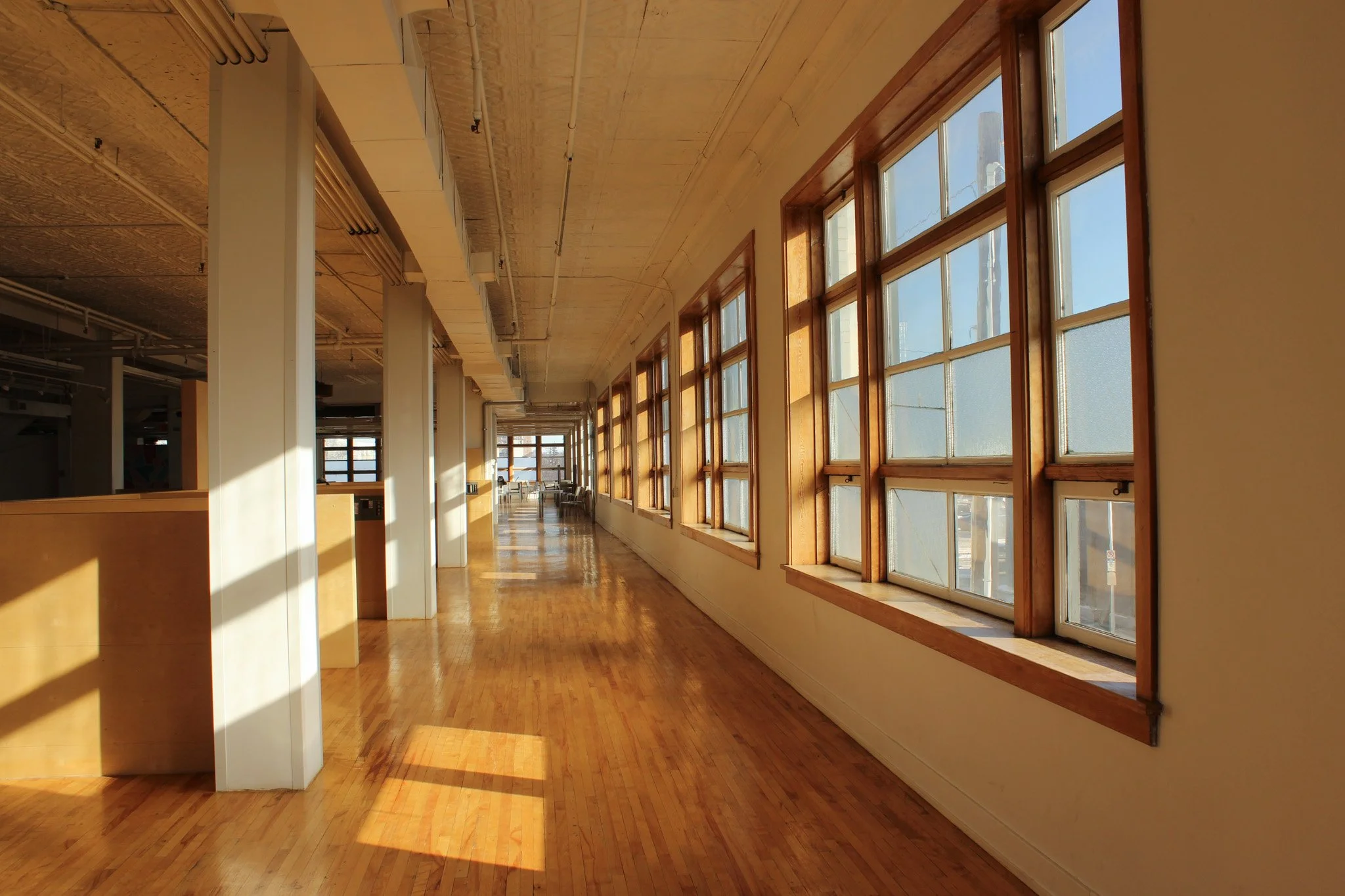 Copy of IMG_9451.jpg