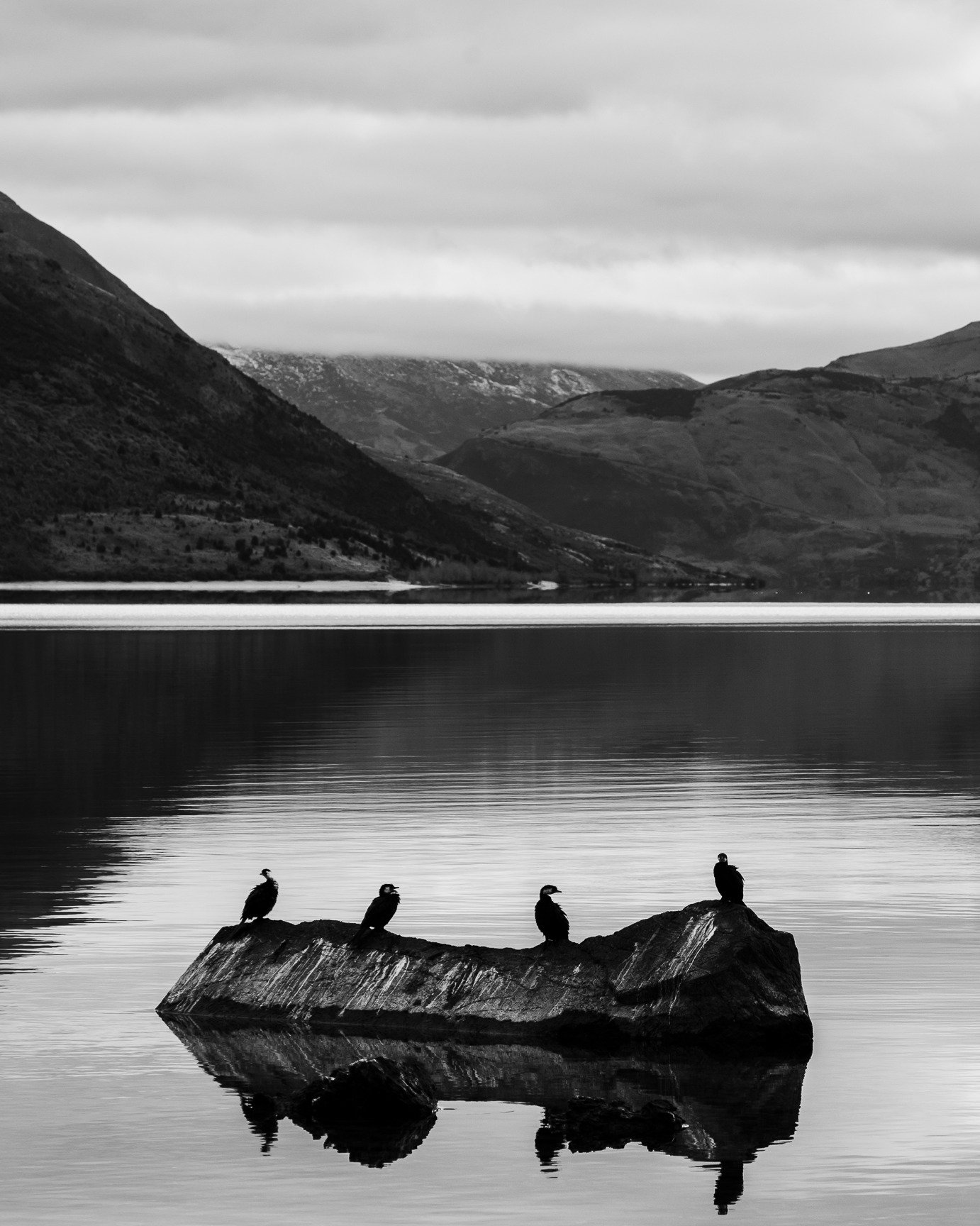 Stoked to have seven images Highly Commended in this year&rsquo;s Asia Pacific Photography Awards @ap.awards 

A slightly eclectic mix this year - moody Otago landscapes, some striking architectural projects, and a dash of @epiccoffeenz.

Looking for