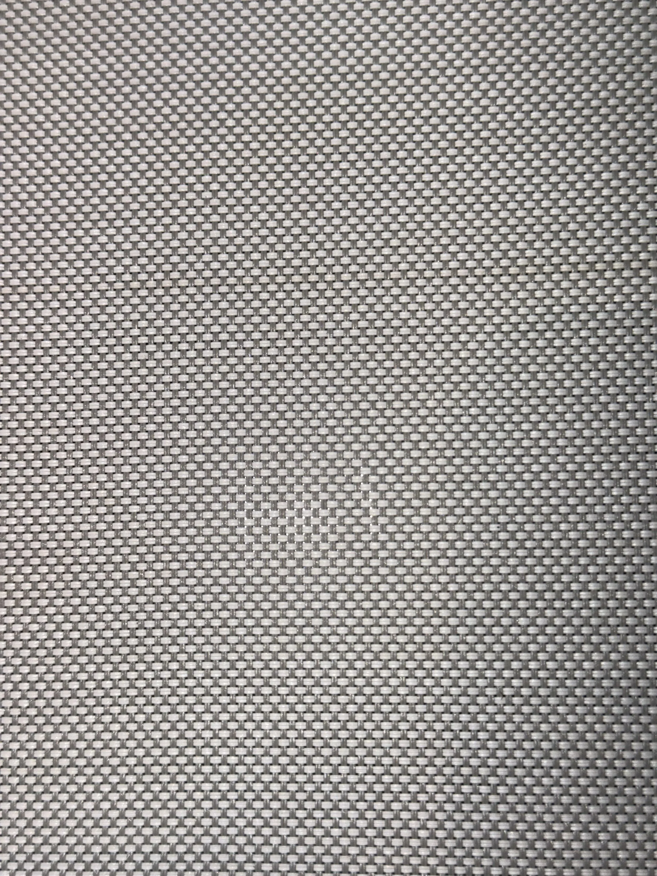 SW2000 p05 White Platinum