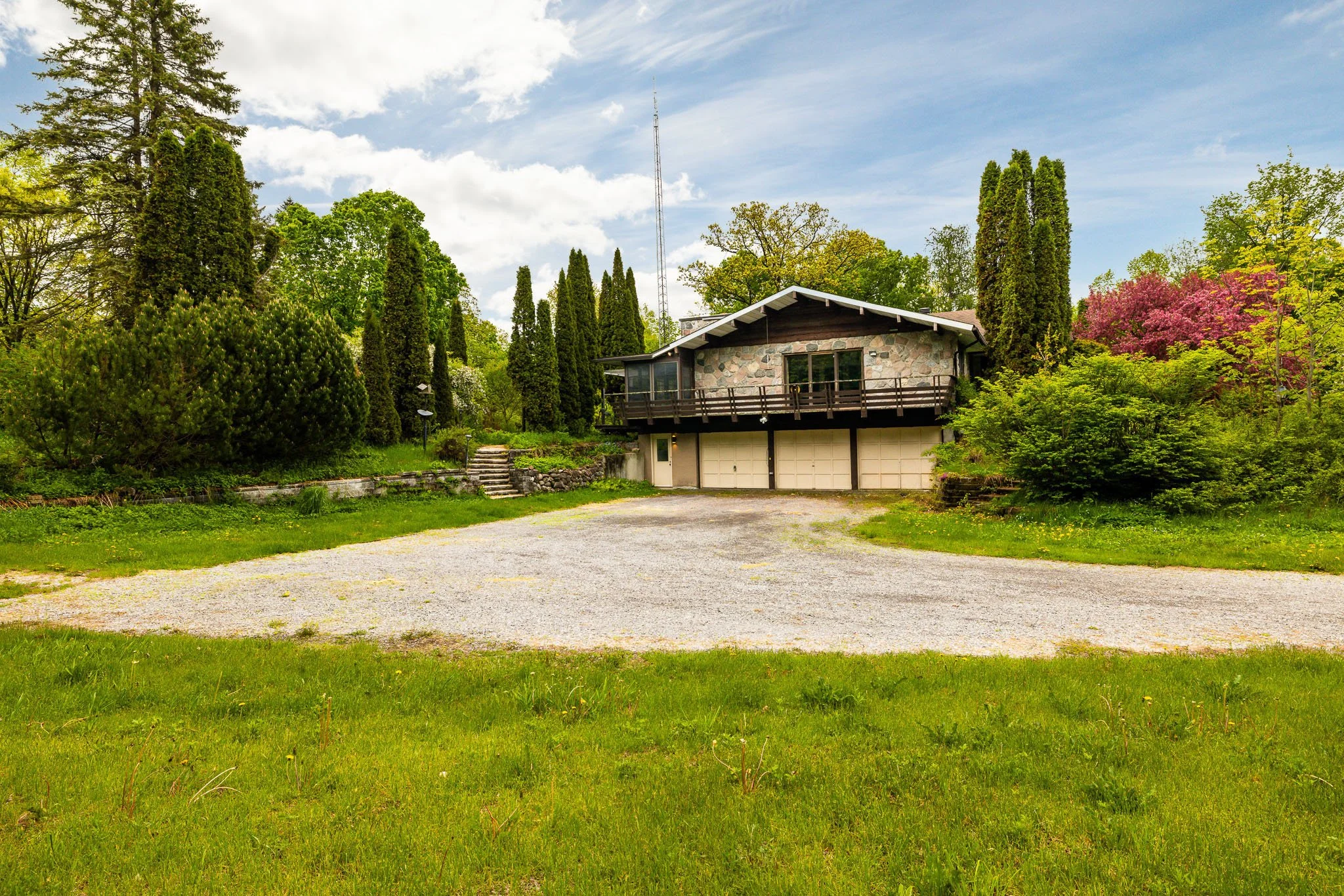 4958 Carp_010.jpg