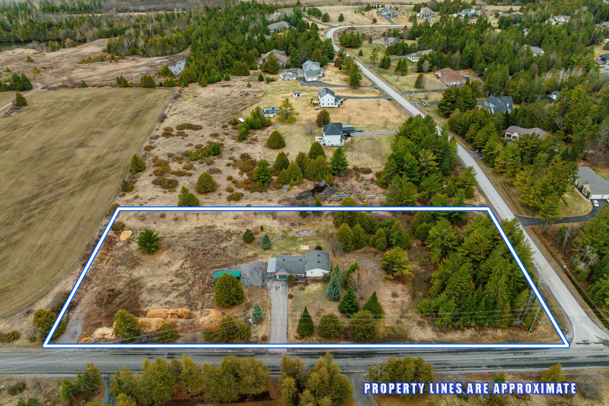 519 David Manchester_002.jpg