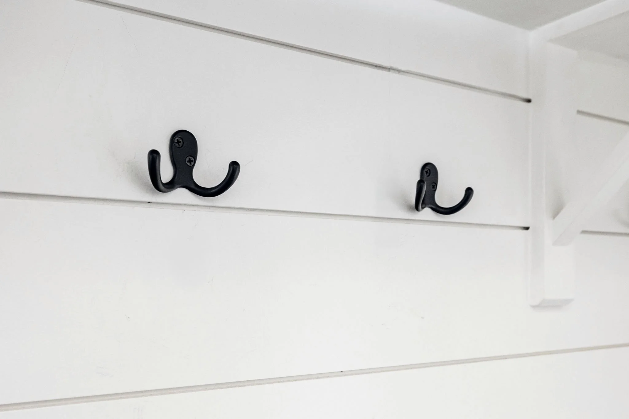 199 Bartonia_041.jpg