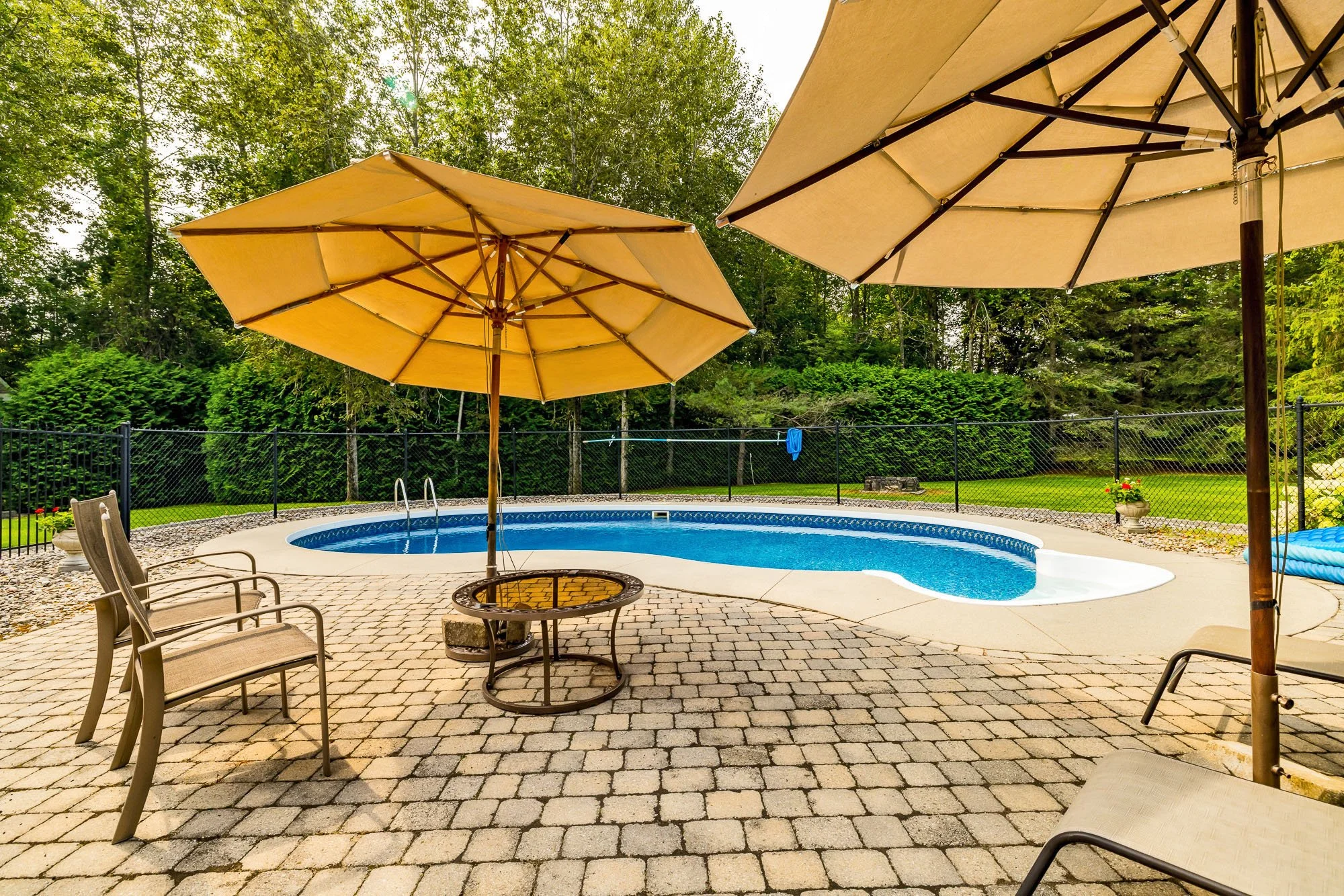 6196 Deermeadow_092.jpg