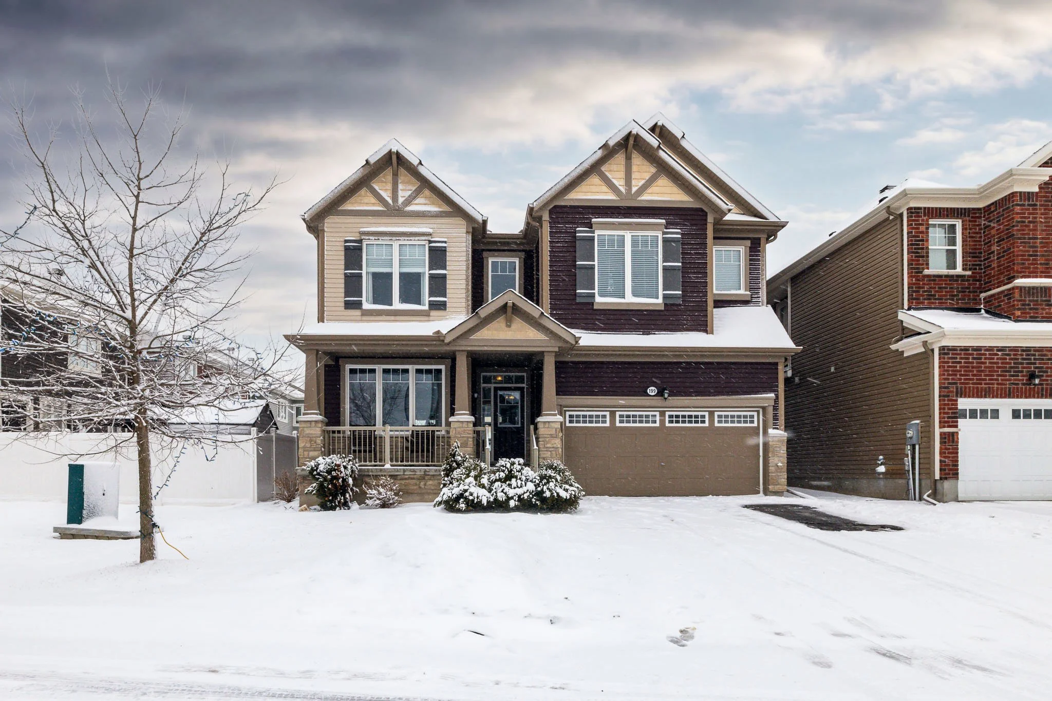 199 Bartonia_001.jpg