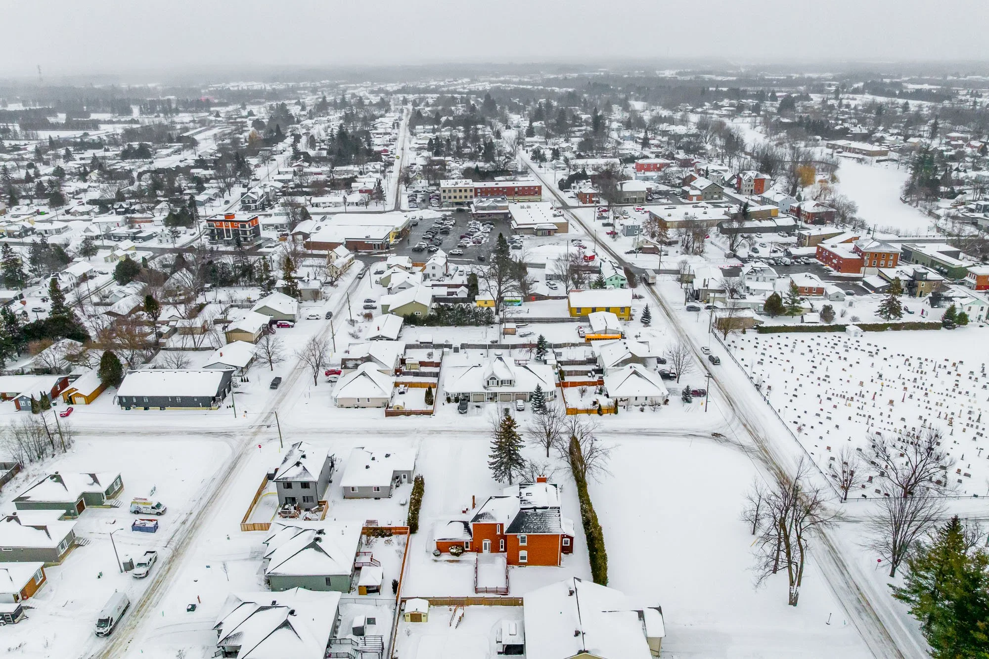 294 Dumbrille_013.jpg