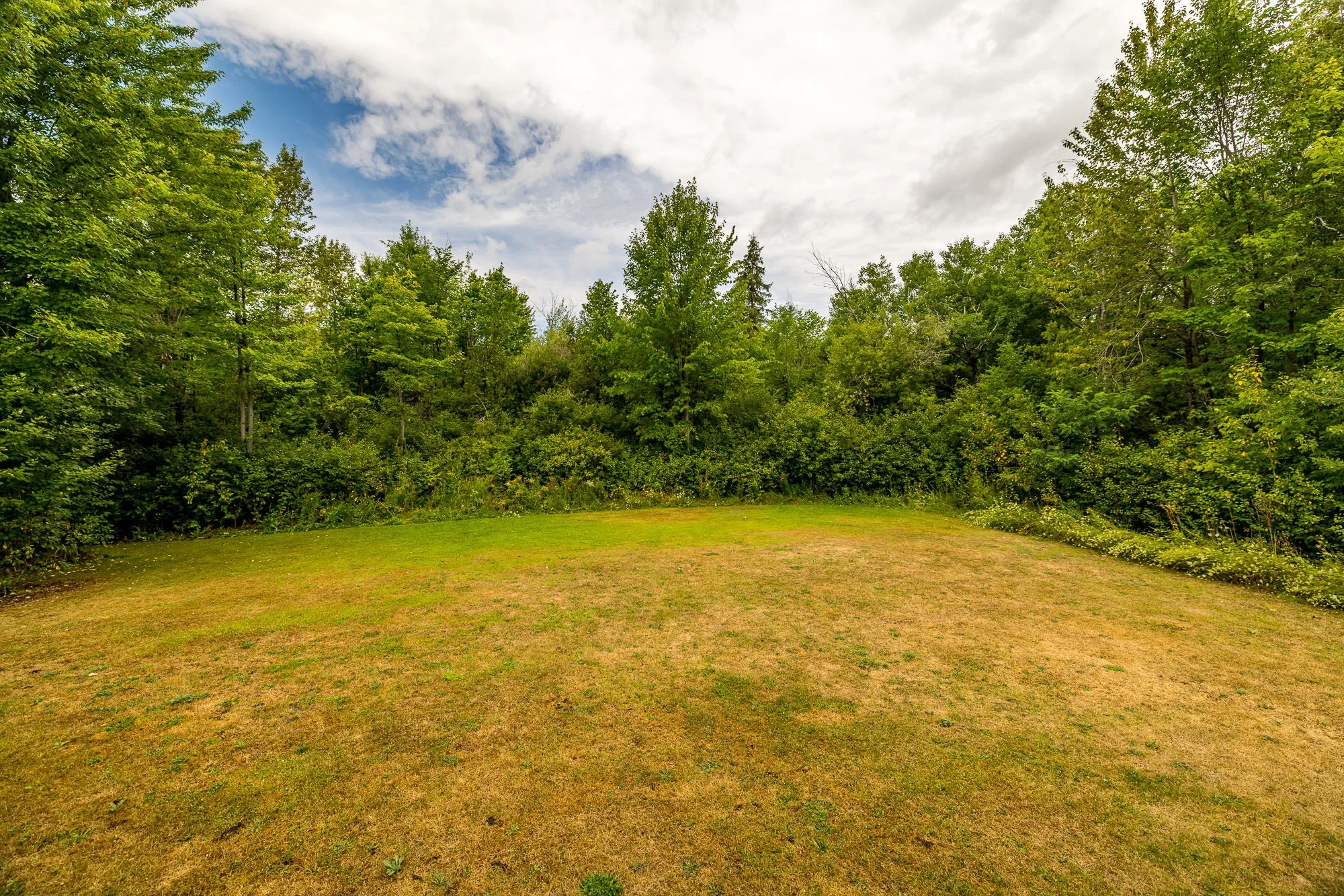 459 Osmond Daley_097.jpg