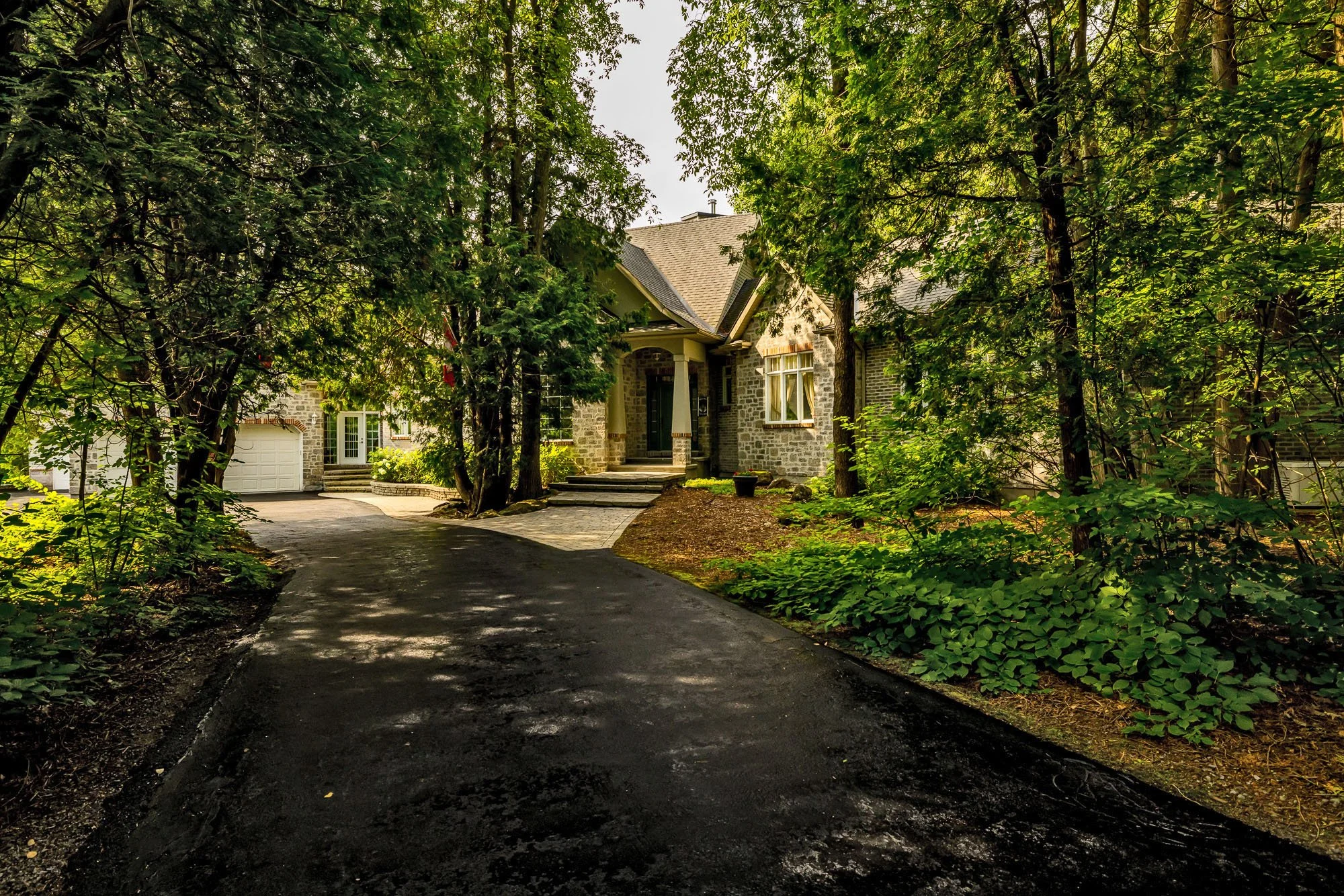 6196 Deermeadow_007.jpg