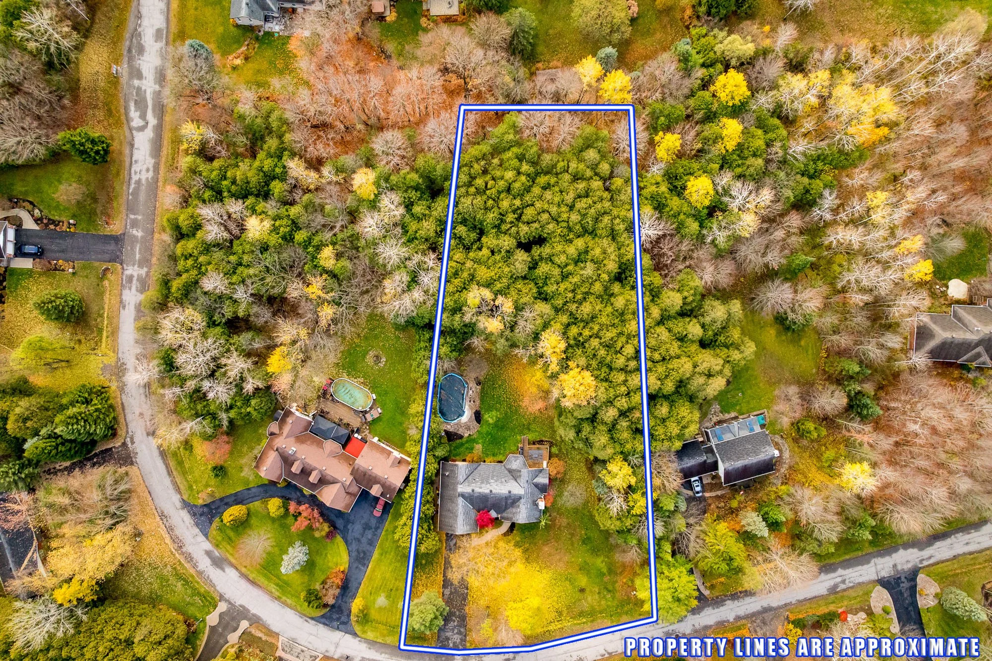 6492 Waddion_066.jpg