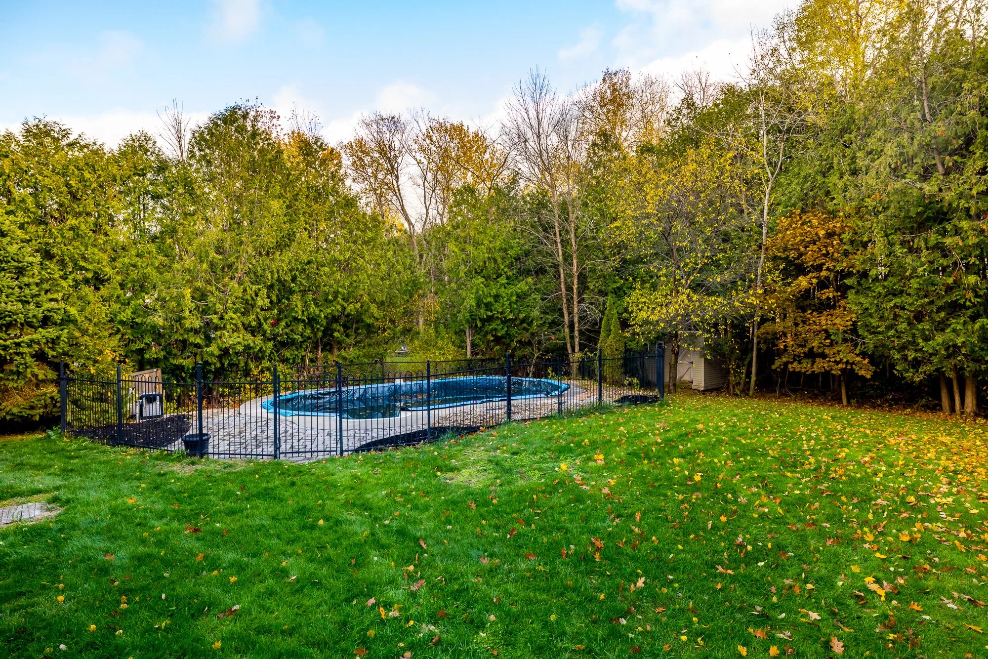 6492 Waddion_078.jpg