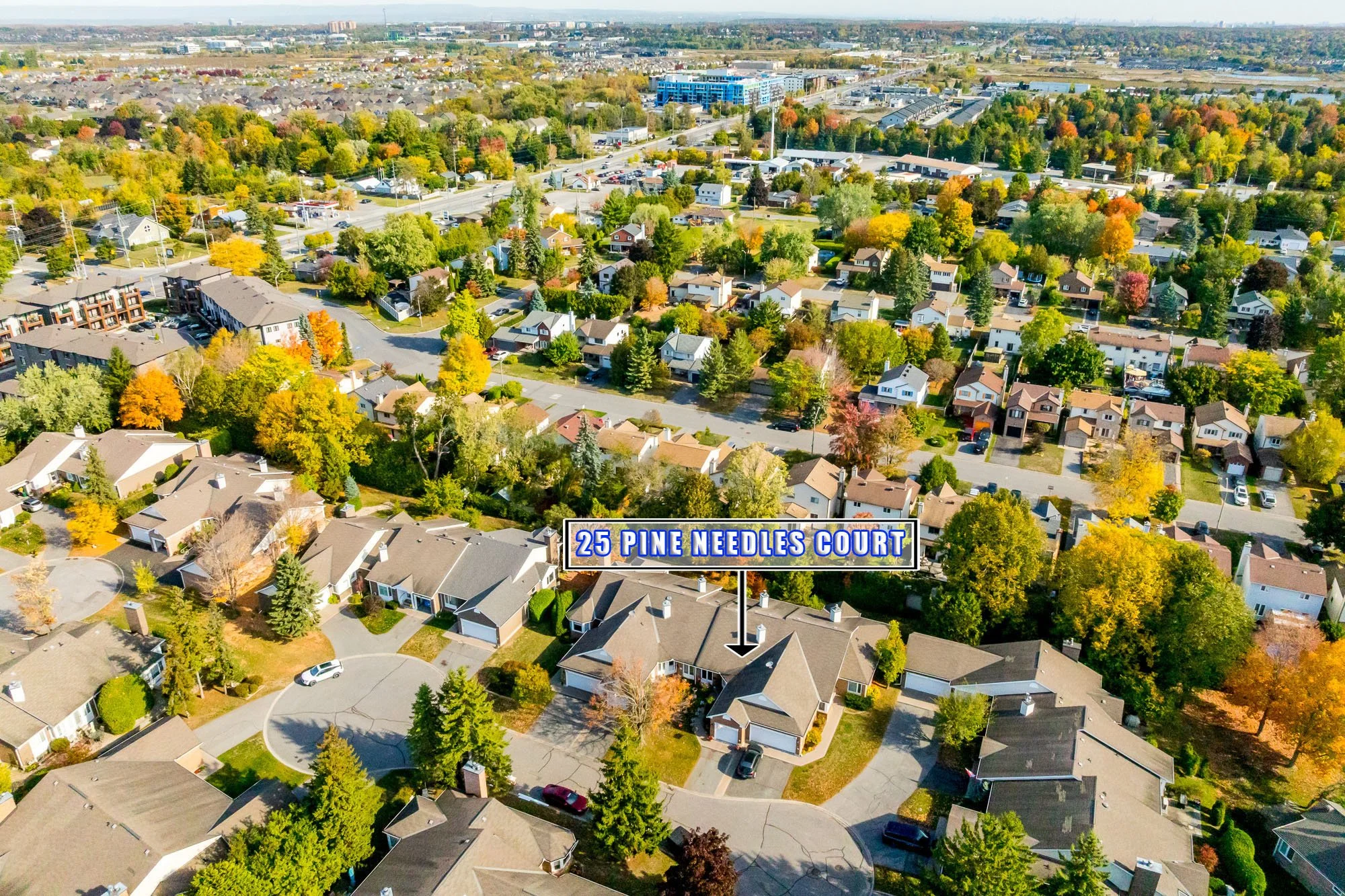 25 Pine Needles_003.jpg