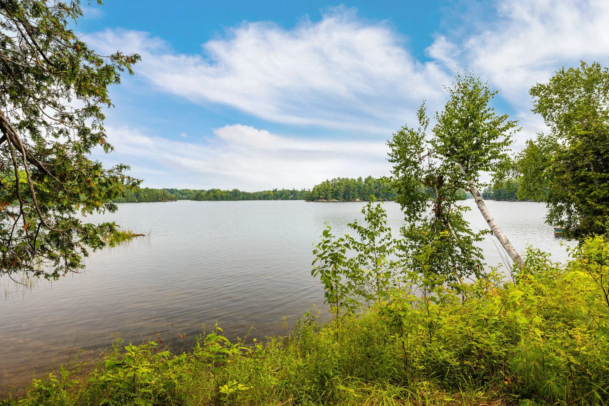 688 Dewitt_0067.jpg
