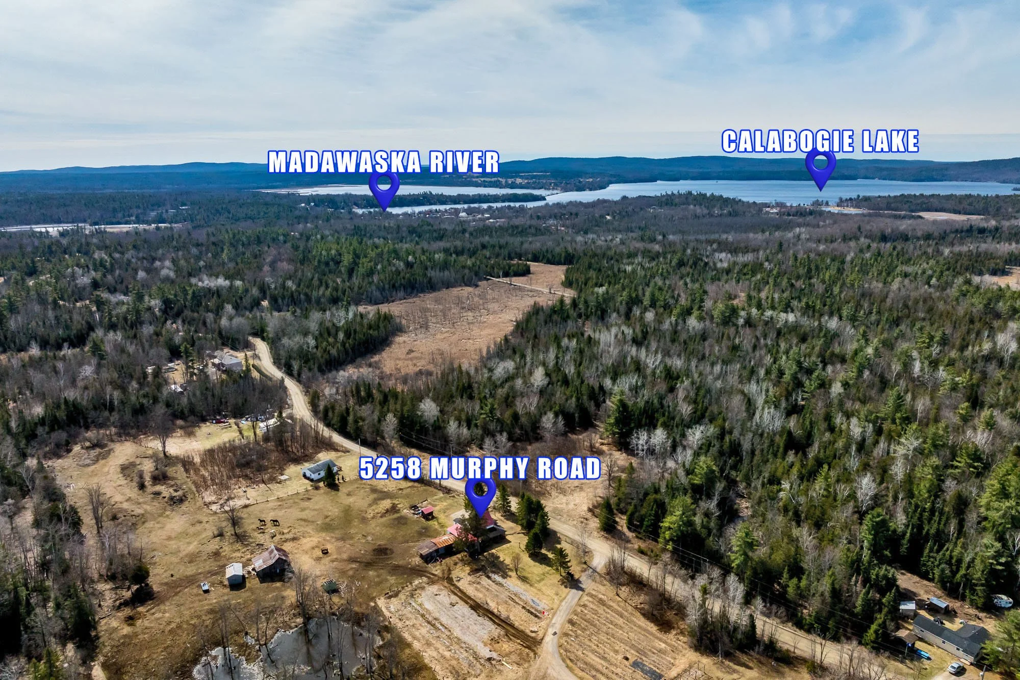 5258 Murphys__0059.jpg