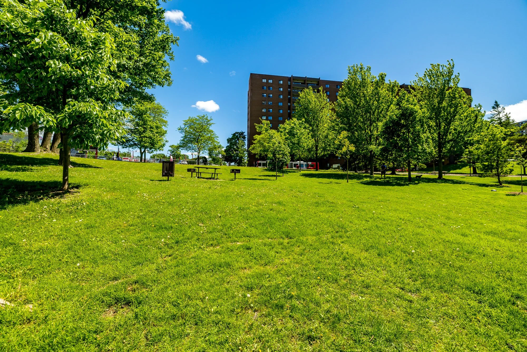 1081 Ambleside 803__054.jpg