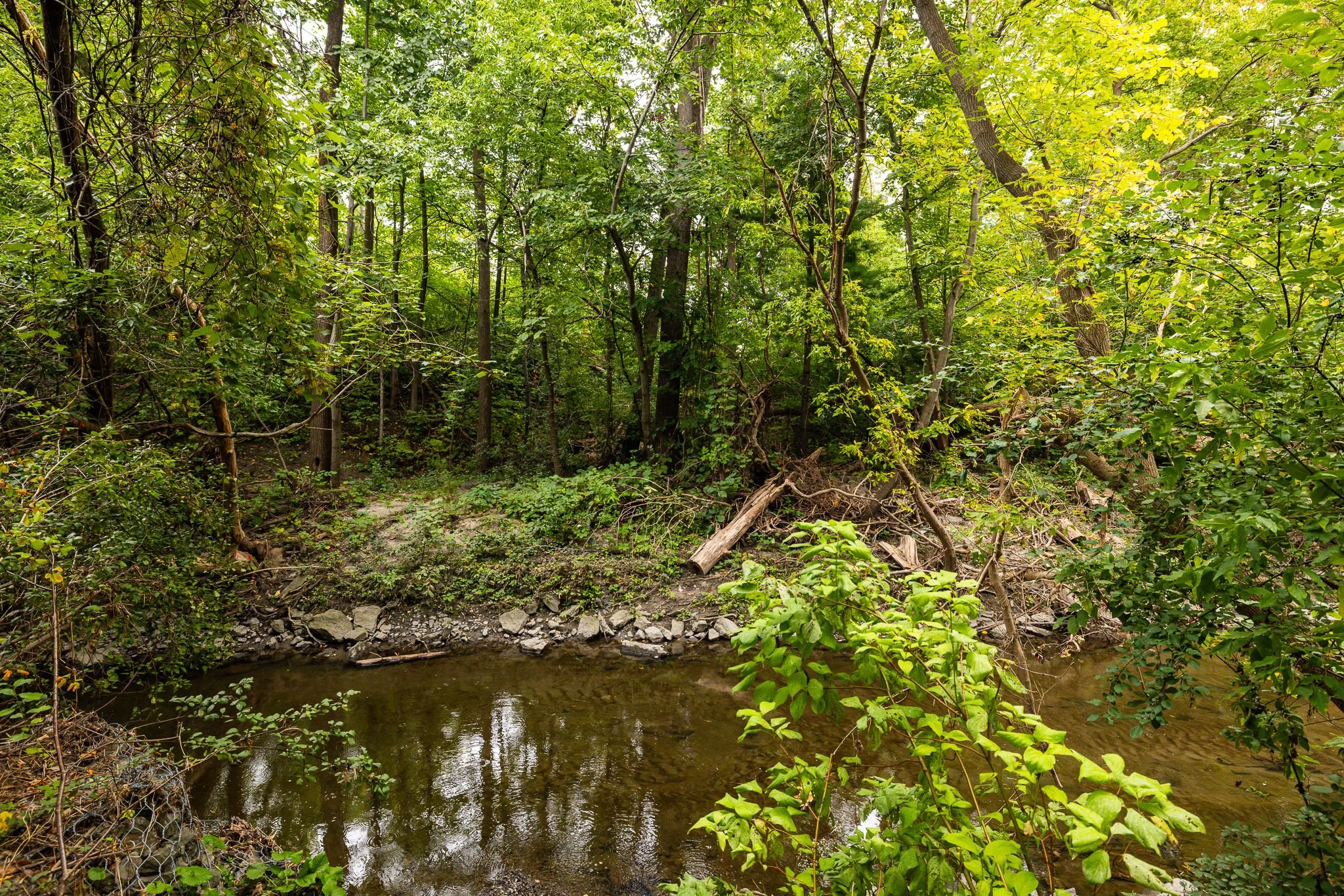 119 Creeks End_0066.jpg