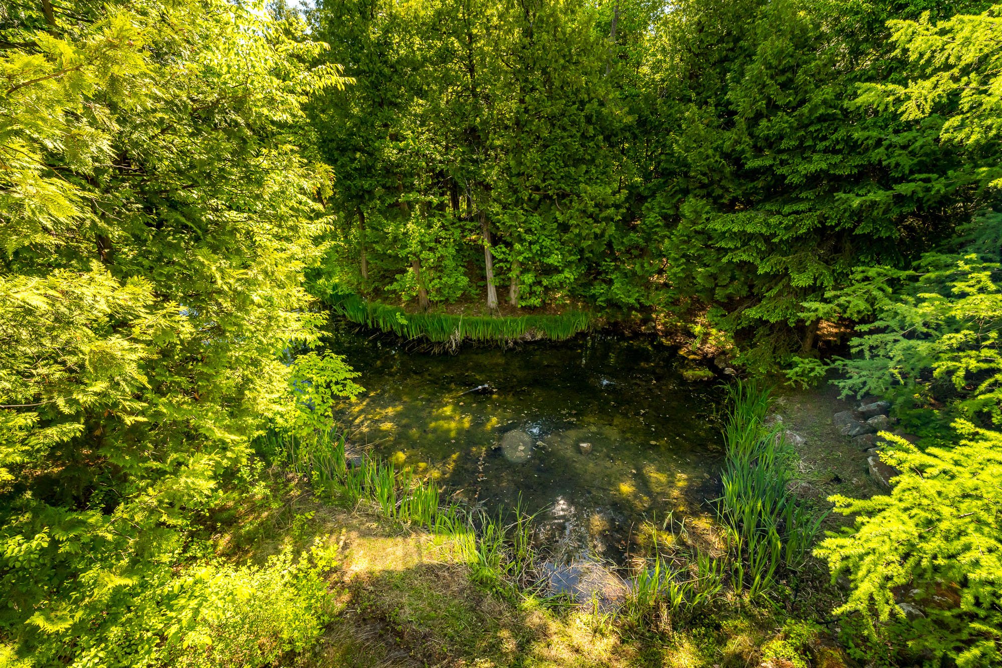 14 Kanata Rockeries__068.jpg