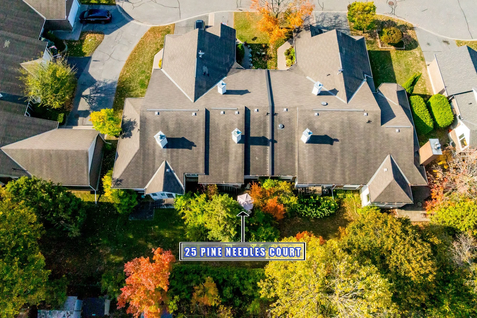 25 Pine Needles_055.jpg